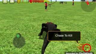 Au Secours Un Crocodile