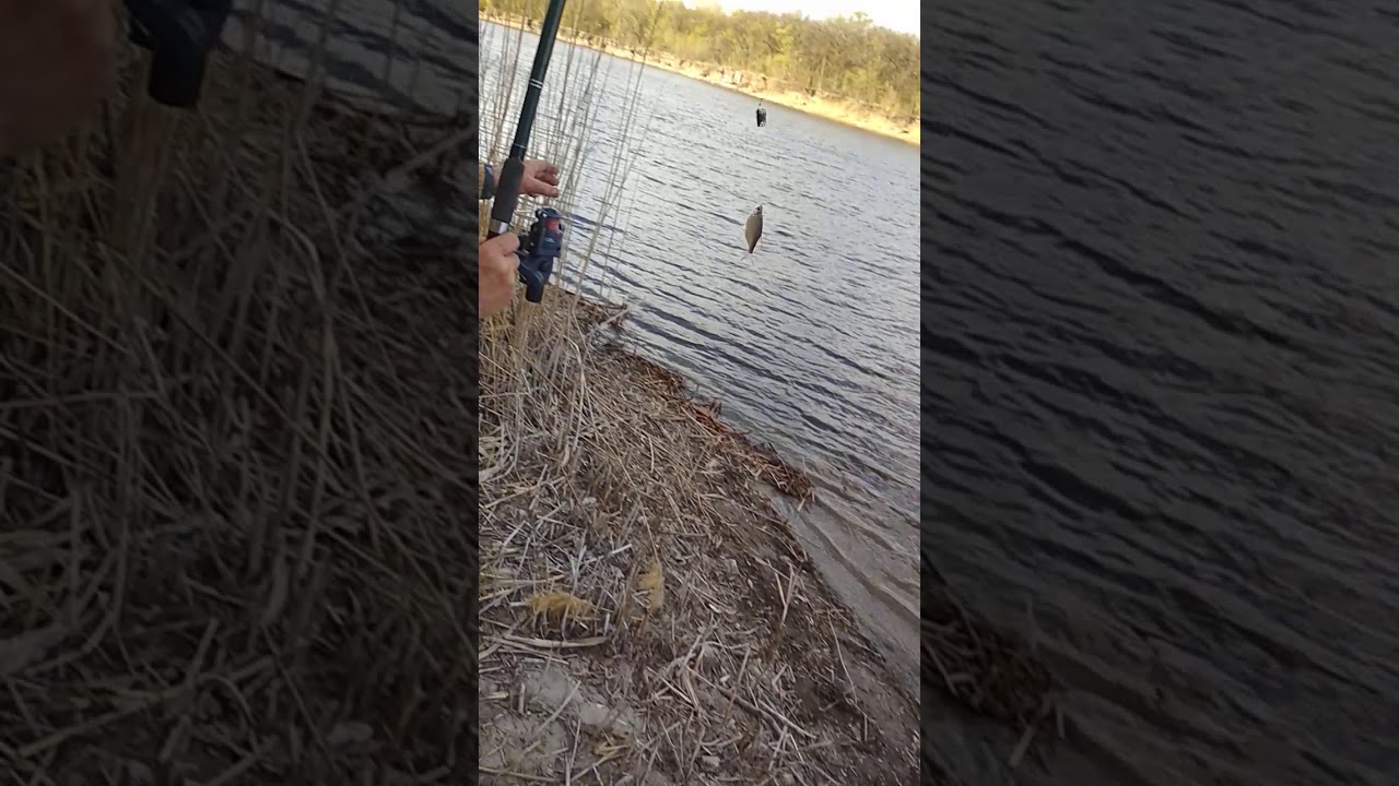 14 апреля 2020 г.