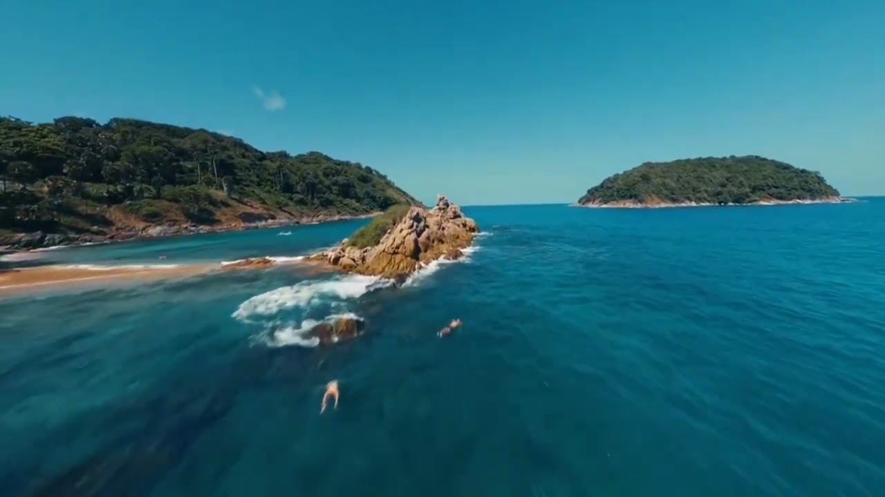 Tropical Dance Vacation (visual)