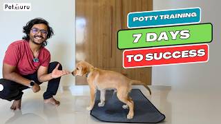 This secret way to potty train your dog is SO MUCH BETTER ! HINDI