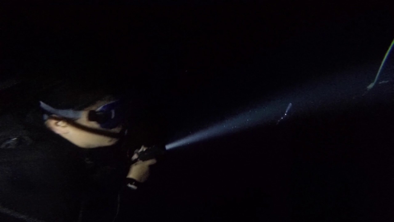 Hawaii Dives Pelagic Magic Dive (Night Swimming) with Jack's Diving