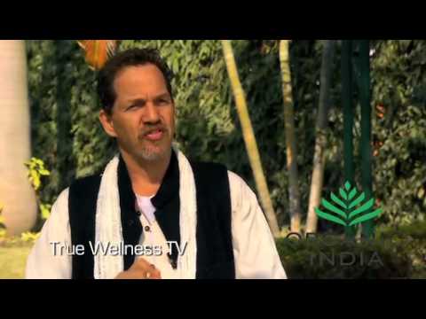 Marc Cohen - Holistic Medicine: How It Works