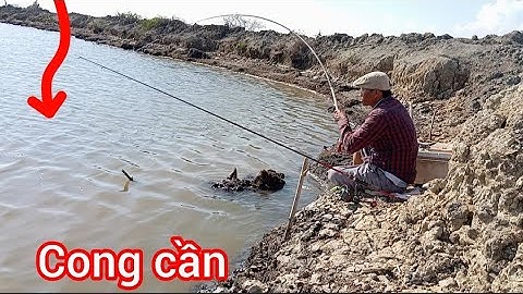 Câu Bống Đục ở Đùng 50k/ Mỹ Xuân BRVT/ Câu cá thiên nhiên