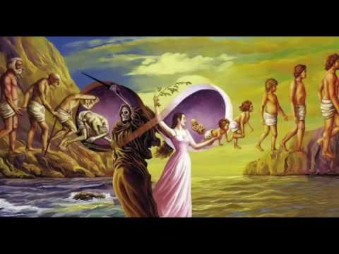 Eternal Life Vida Eterna video phone beyonce mp3