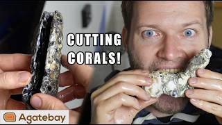 Can you believe it? Cutting fossil agatized corals!