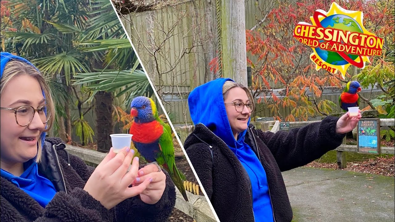 Chessington Annual Pass Day November 2021 YouTube