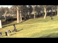 Un aigle royal attrape un enfant dans un parc