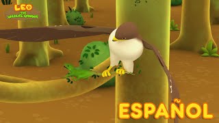 La Iguana Verde (Español) - Leo, El Explorador Episodio | Animación - Familia - Niños