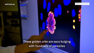 Art of Science behind the scenes | Crowded House by Simona Seizova