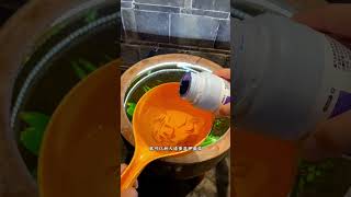 Use methylene blue to disinfect and quarantine new fish before entering the tank #trending #fish