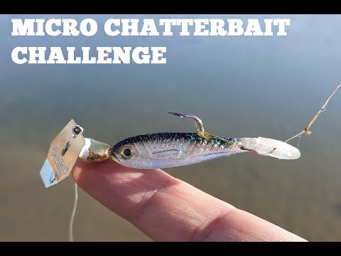 ChatterBait® Micro