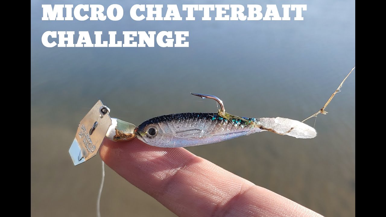 MICRO CHATTERBAIT CHALLENGE!!! (Z-Man Flashback Mini Chatterbait) 