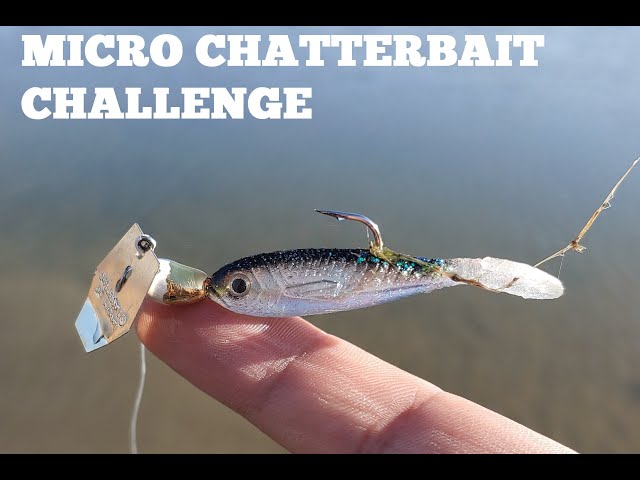 MICRO CHATTERBAIT CHALLENGE!!! (Z-Man Flashback Mini Chatterbait