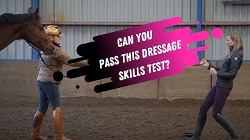 Can You Pass This Test? How To Get a Soft Feel In Your Hand While Riding Dressage
