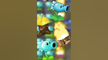 The best combo in all of PvZ ever.