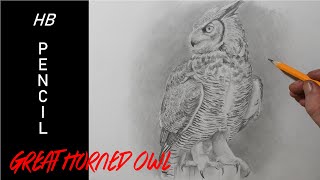 how to draw a great horned owl pencil drawing for beginners