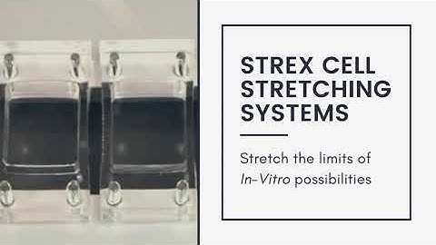 Unlock the Potential of Mechanotransduction Research with STREX Cell Stretching Systems