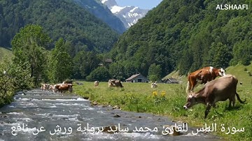 محمد سايد - سورة الناس |114| MOHAMED SAYED - SURAT AL NAS