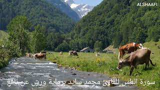 محمد سايد - سورة الناس |114| MOHAMED SAYED - SURAT AL NAS