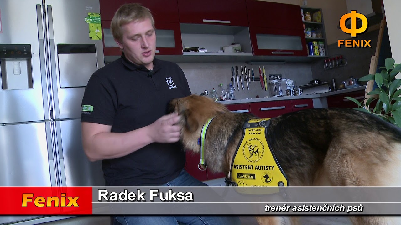 Břeclav: První asistenční pes autisty v Břeclavi 9.11.2018