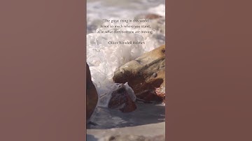 Moving Forward: The Importance of Direction in Achieving Success