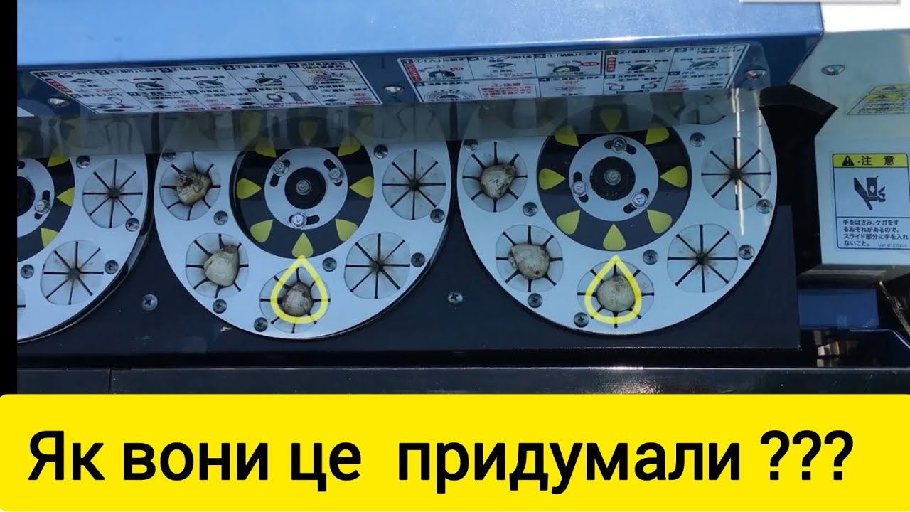 Як легко садити часник технікою. Посадка часнику в Японії - космічні технології!