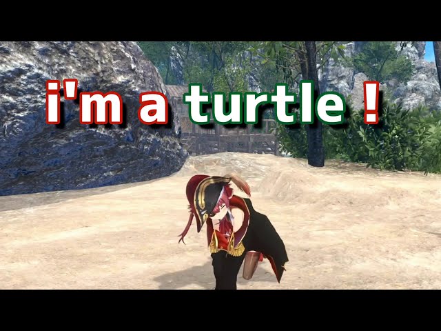 ぼ く は カ メ / i'm a turtleのサムネイル