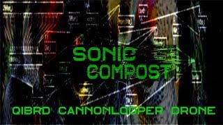 QiBrd drone processed in AudioMulch's CannonLooper contraption
