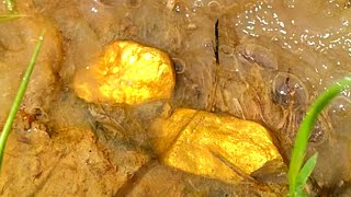 a collection of videos of treasure discoveries that have been stored for thousands of years