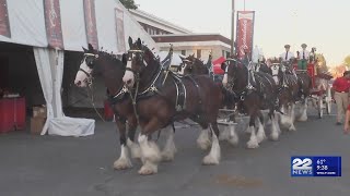 Budweiser donates $37K to Folds of Honor at Big E