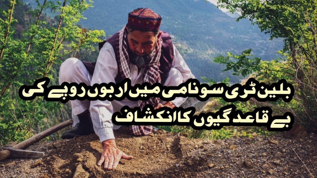 Audit Report finds irregularities in 10 Billion Tree Tsunami project