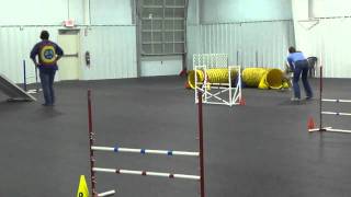 Frankie CPE Colors Level 1