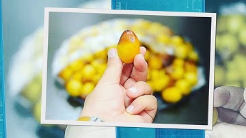 القارئ محمد جبر عطية آيات من سورة النجم