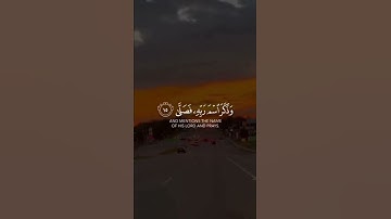 قران كريم ذكر تلاوة خاشعة لا تبخل بذكر الله والصلاة على النبيﷺفي التعليق✅❤👍🏻 #قران_كريم #قرآن #قران
