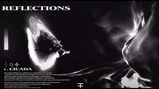 Reflections release new song "Cicada," off new EP feat. Calle Thomer