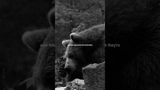 The Right Time Wont Come You Have To Create It.