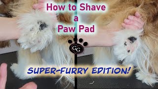 How to Shave a Paw Pad for Dogs  SuperFurry Edition!  Dog Grooming Tutorial  Gina's Grooming