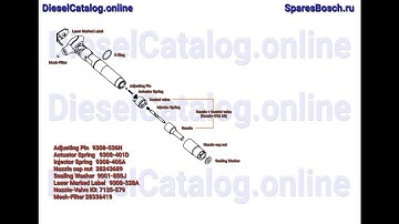 R00001D Injector Common Rail DELPHI