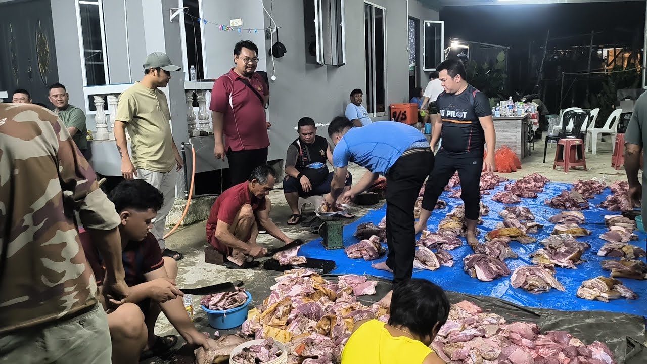 Ngesil Babi 2 Ekor Dibahagi 25 Orang//Cantik Memat Isik Nyak Kena Kesemih