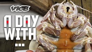 密着24時！ダイオウグソクムシ - Giant Deep-Sea Bugs