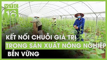 Kết nối chuỗi giá trị trong sản xuất nông nghiệp bền vững | VTC16
