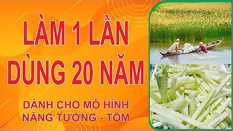 Cải tạo môi trường nuôi ban đầu cho mô hình nuôi tôm với năng tượng | Au My AEC
