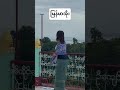 မြန်မာအိုး #blackpink #greenscreen #duet #tiktok #dance #animals #love #horse #onthisday #stallion