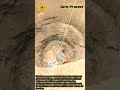 Massive Agricultural Well Construction