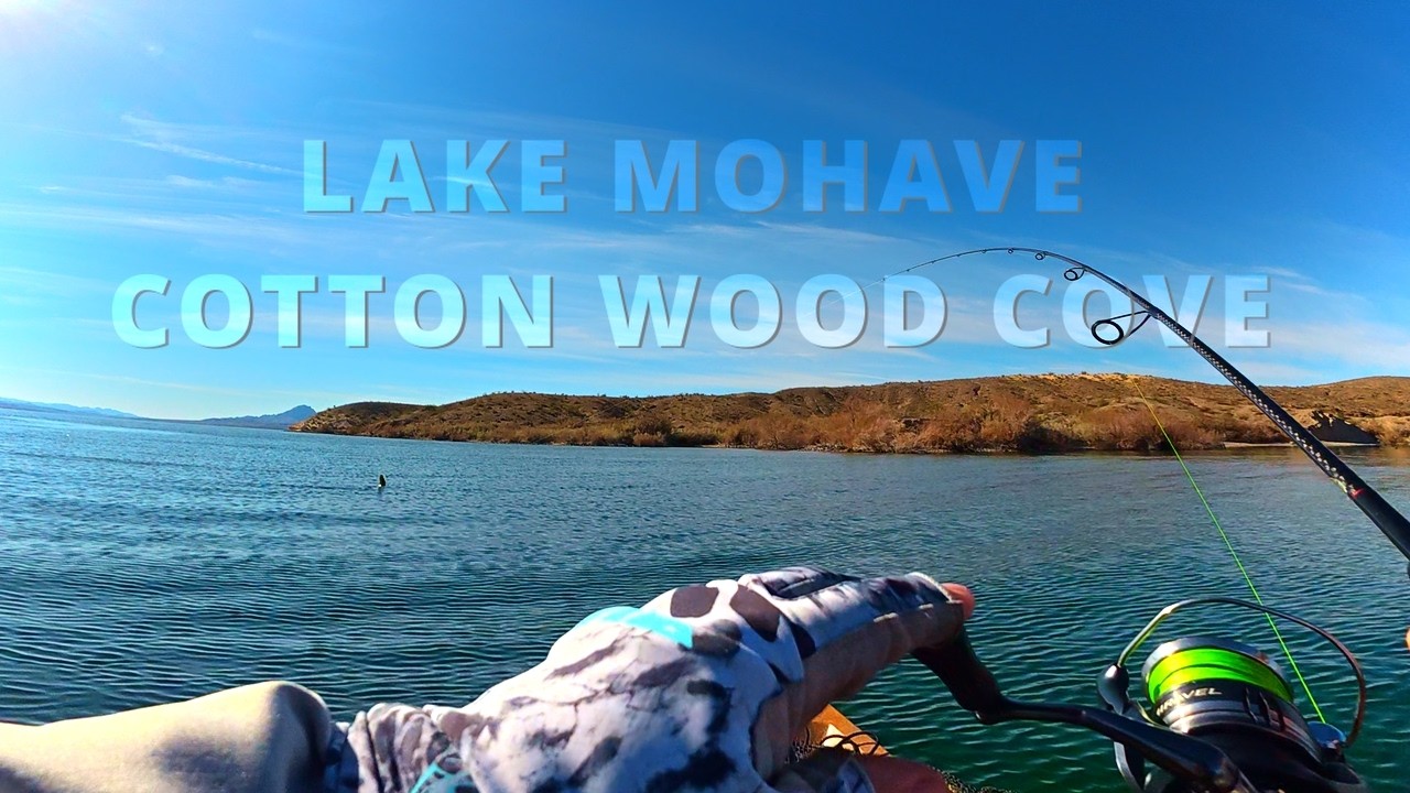 Поимка окуня-малорота размером с футбольный мяч с каяка - озеро Мохав после шторма