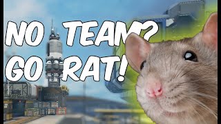 Finding the ultimate rat spot …
