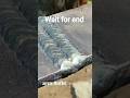 Only A Few Welders Know This 1G Trick! 🧑🏭🦾#Welding #Shorts #1GWelding" #viral #trending #shorts