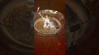 TradeWinds Island Grand Resort.        St Pete Beach, FL