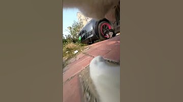 #catvscat #kittyshowdown