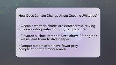 How Does Climate Change Affect Oceanic Whitetips? - The Marine Life Explorer